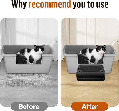 Cat Litter Box Step, Cat Litter Box Ramp Mat with Filter Function for Self-Cleaning Cat Litter Box, Easy to Clean, Cat Pedal Step Stool Ideal for Kitten &amp; Elderly Cats (Black)