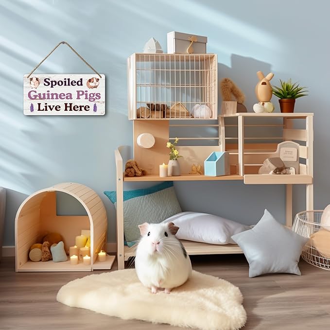 Big Hamster Ball &amp; Guinea Pig Hideout - Stuffed Animals &amp; Accessories for Guinea Pig Cage - 12x6 In Wooden Sign
