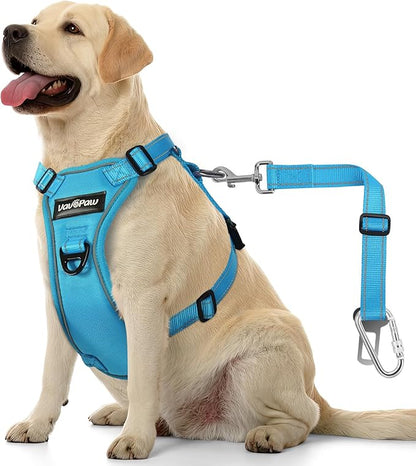 Dog Seat Belt Harness for Car, Dog Car Harness Adjustable Mesh Breathable &amp; Dogs Seatbelt Safety Tether with Elastic Bungee for Small Medium Large Pets(Blue, L)