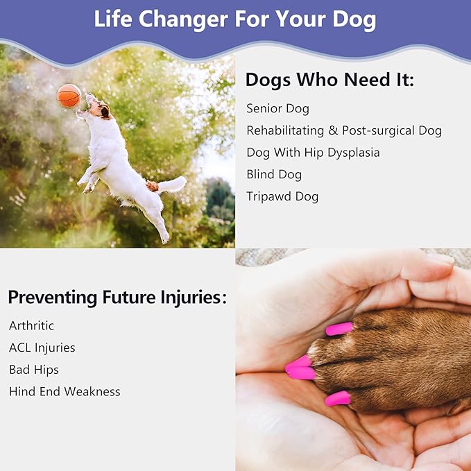 Nail Grippers for Dogs - Dog Anti Slip, Toe Grippers for Senior Dogs, Stop Sliding on Hardfloor, Two Ways of Use, Dog Paw Protector, Increase Traction, Reduce Pain &amp; Struggle (45PCS/Pack)
