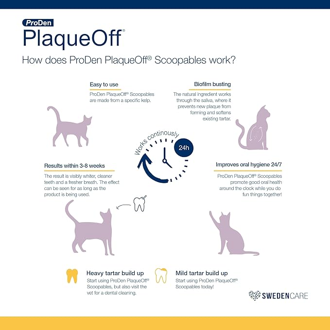 ProDen PlaqueOff Scoopables: Salmon-Flavored Dental Bites for Cats - Natural Kelp Formula for Plaque &amp; Tartar Control, Freshens Breath- 45 Scoops