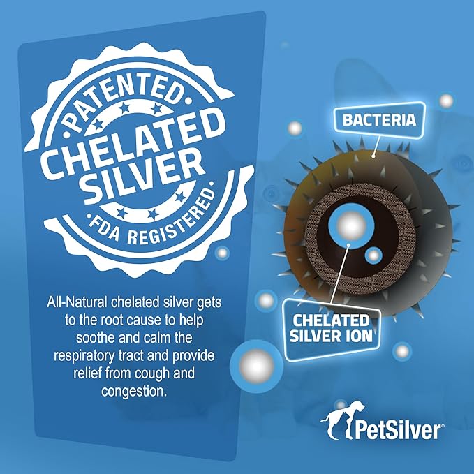 PetSilver Immune Support, Natural Nebulizer Solution, Promotes Respiratory Health in Cats &amp; Dogs, Allergies, Sinus &amp; Cough Treatment, Easy to Use, Patented Chelated Silver, Made in The USA, 16 fl oz