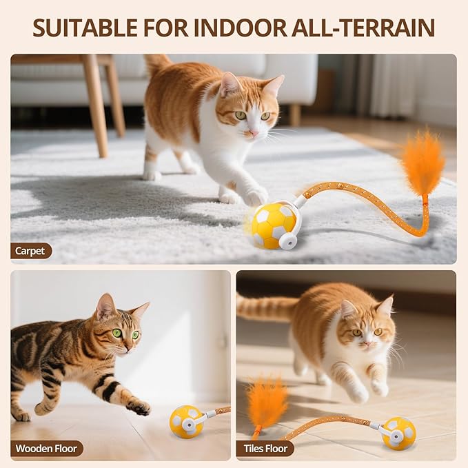 Cat Toy Ball,Interactive Cat Toy Ball with 3 Modes for Indoor Cat,The 2025 Generation Self Moving Cats Toy,Rolling Cats Toy with Feather &amp; Bells for Bored Cats &amp; Small dogs,Touch to Activate (Orange)