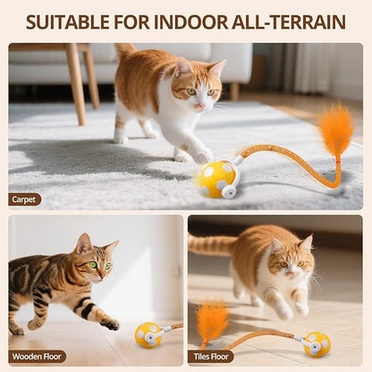 Cat Toy Ball,Interactive Cat Toy Ball with 3 Modes for Indoor Cat,The 2025 Generation Self Moving Cats Toy,Rolling Cats Toy with Feather &amp; Bells for Bored Cats &amp; Small dogs,Touch to Activate (Orange)