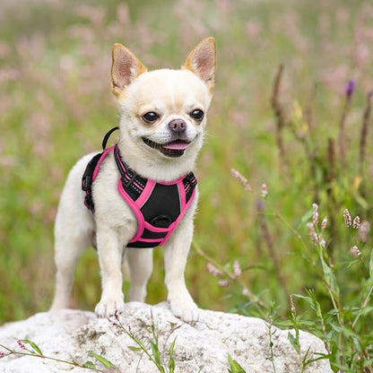 rabbitgoo Dog Harness No Pull with 2 Leash Clips, Adjustable Soft Padded, Reflective Oxford No Choke Pet Vest with Easy Control Handle for Large Dogs, Black &amp; Hot Pink, XS