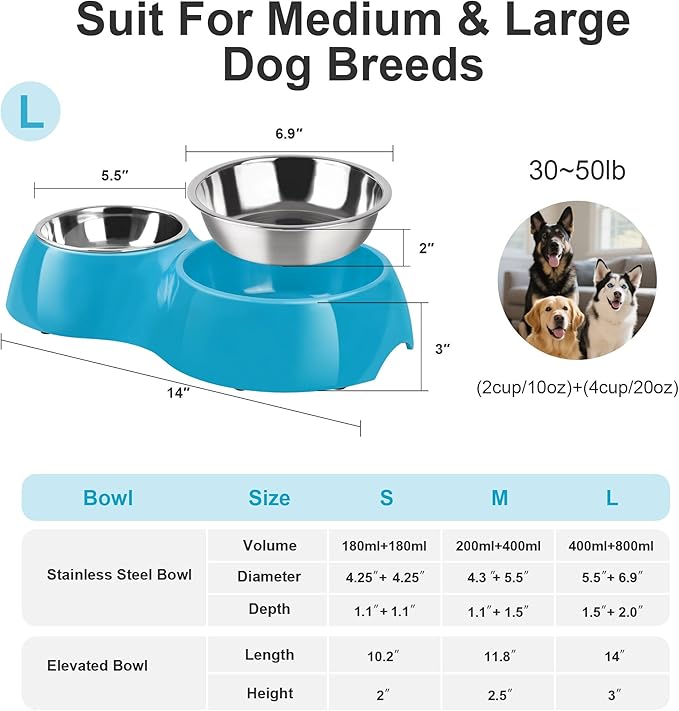 Elevated Dog Bowls Set - Non-Slip Raised Pet Feeder with Medium (2 Cups) &amp; Large (4 Cups) Stainless Steel Bowls - Includes Durable Resin Stand for Puppies, Adult Dogs &amp; Cats - Blue