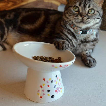 Necoichi Extra Wide Raised Cat Food Bowl, Elevated Cat Bowls to Prevent Neck &amp; Whisker Fatigue, Dishwasher and Microwave Safe, No.1 Seller in Japan! (Sakura Limited Edition, Extra Wide Tilted)