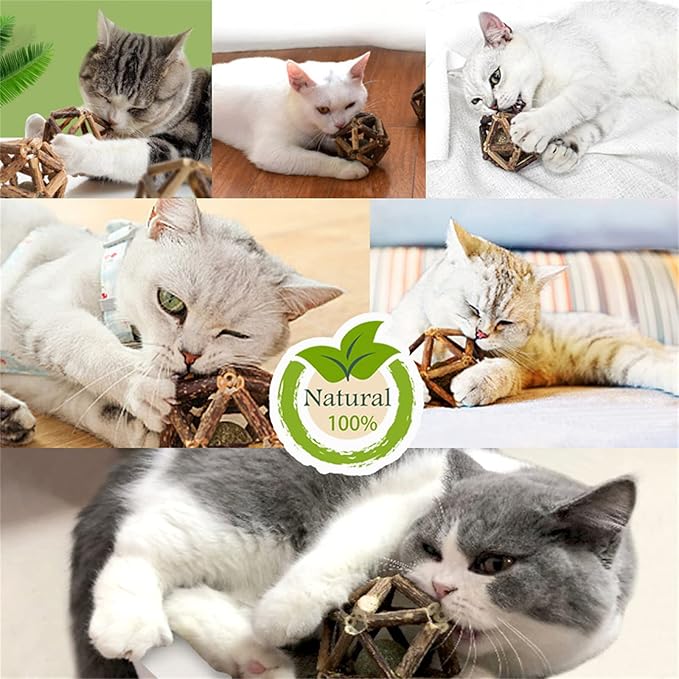 Catnip Toys-2Pcs Natural Silvervine Stick Catnip Ball&amp;Bell Ball-Cat Toys for Indoor Cats- Cleaning Teeth Molar Tools Matatabi Cat Chew Toy-Kitten Toys All Breeds