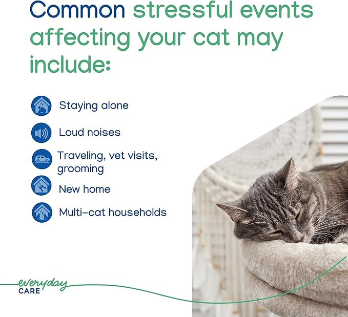 Virbac Zenifel Gel Diffuser for Managing Stress-Related Behaviors in Kittens &amp; Cats - No Electricity Needed - Lasts Up to 2 Months - 1 Diffuser
