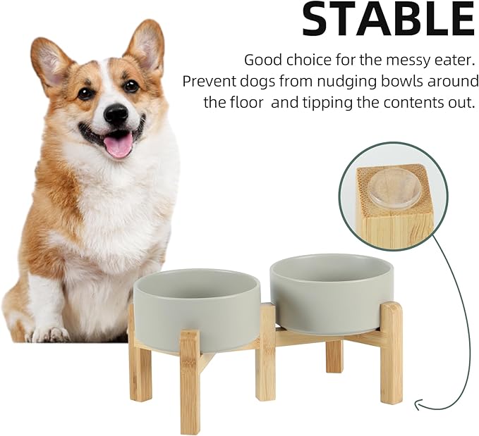 Ceramic Raised Double Bowls Set with Stand, 2 Heights Elevated, Food &amp; Water Bowls for Small Breed Dogs, Weighted Dog Dishes, Pet Bowl(6.1&