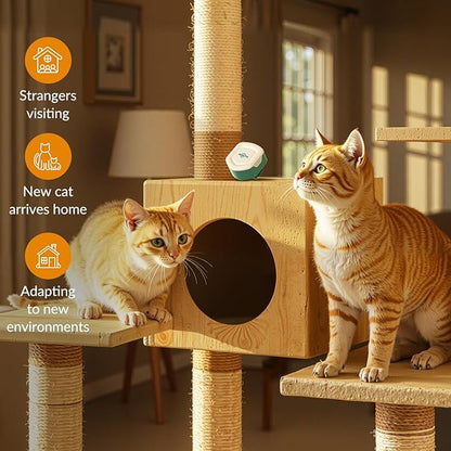 Cat Calming Diffuser – for Travel, Car &amp; Home Use, Pheromone Diffuser for Cats &amp; Kittens to Reduce Anxiety and Stress, No Electricity Needed, Long-Lasting Calming Support (1 Pack)