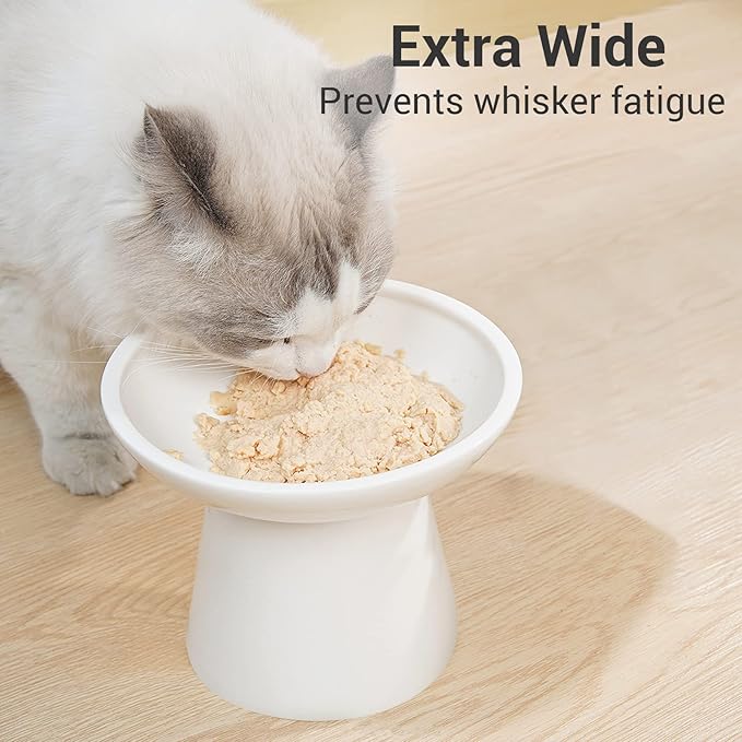 Extra Wide Elevated Ceramic Cat Bowl - 6.2" Shallow Dish for Whisker Fatigue Relief, 5" Height for Easy Feeding, Lead &amp; Cadmium Free, Durable Raised Cat Food Bowls, White