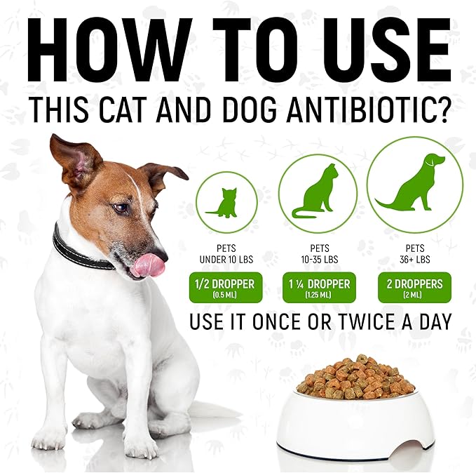 Antibiotics for Dogs | Antibiotics for Cats | Herbal Supplement for Digestion, Breathing, Urination | for Infections, Cough, Allergies | Beef Flavor &amp; Cranberry | for All Pet Breeds | 2 Oz