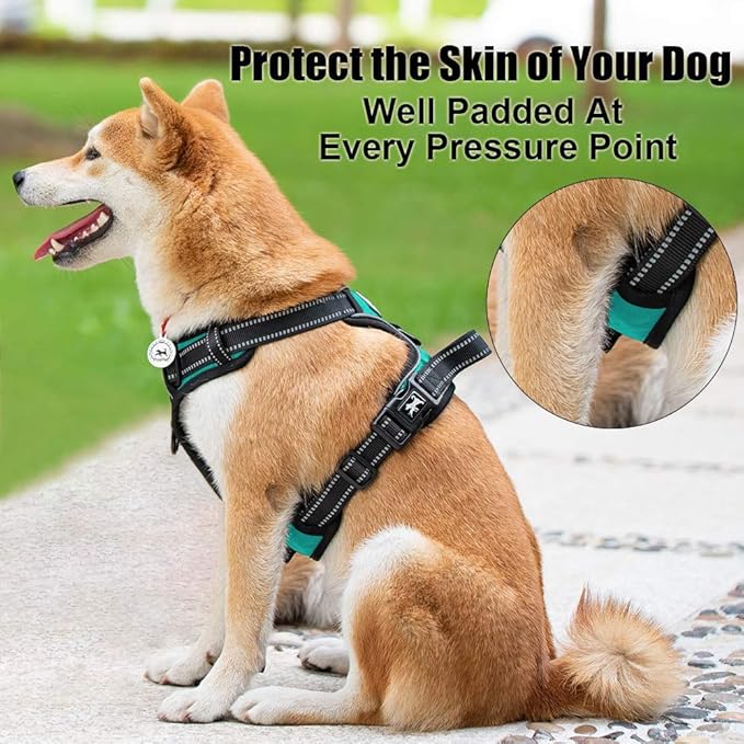 PoyPet No Pull Dog Harness, Reflective Comfortable Vest Harness with Front &amp; Back 2 Leash Attachments and Easy Control Handle Adjustable Soft Padded Pet Vest for Small to Large Dogs (Mint Blue,XS)