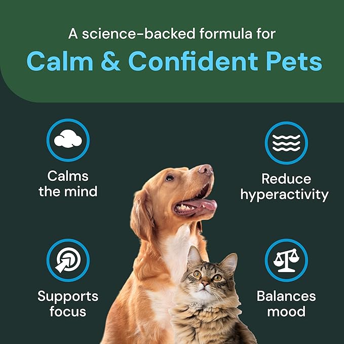 VETRISCIENCE Veterinary Strength Calm &amp; Confident Chews - Stress Supplement for Pets - Supports Brain Function for Cats &amp; Dogs - with L-Theanine, Thiamine &amp; More - 60 Count