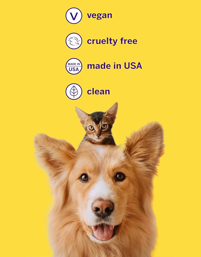 Petsmile Professional Pet Toothpaste for Cats &amp; Dogs - Only VOHC Accepted Toothpaste - Clinically Proven to Control Plaque &amp; Tartar Calprox Formula (London Broil, 2.5 Oz)