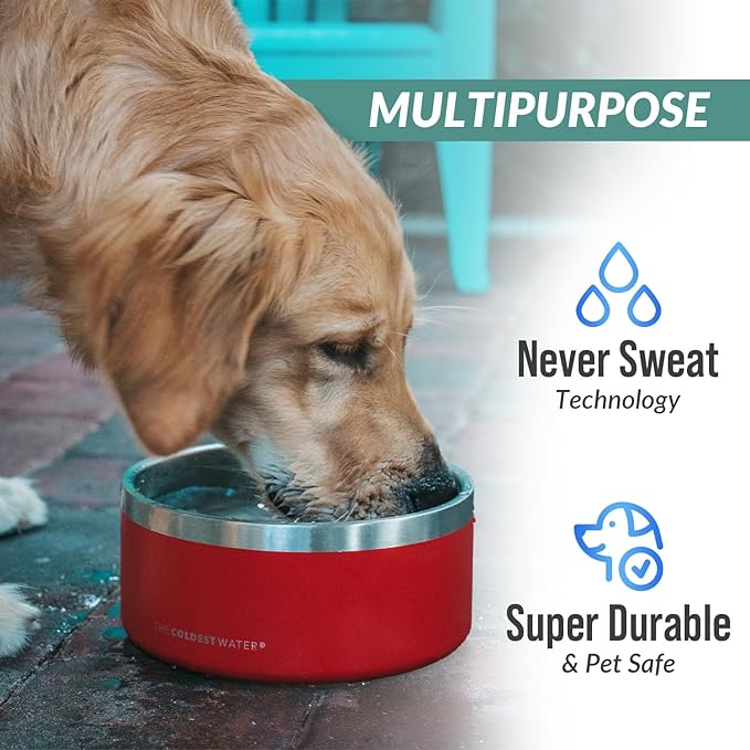 Coldest Dog Bowl - Anti Rust Metal, Non Slip, 3 Layers Insulated Stainless Steel Dog Bowls - Spill Proof &amp; Heavy Duty - Water Bowl for Dogs, Cats, Dish Washer Safe (64 oz, Polished Stainless Steel)