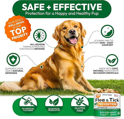 (2 Pack) Flea and Tick Prevention for Dogs Pills - 340 Chews - Natural Dog Flea &amp; Tick Control - Oral Defense Treatment for Dogs Supplement - Vet Formulated - All Breeds &amp; Ages - Made in USA