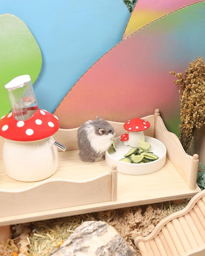Niteangel Hamster Snack &amp; Treats Toy - Small Animal Natural Treat for Dwarf Syrian Robo Hamsters Gerbils Mice Lemmings Degus or Other Small-Sized Pets