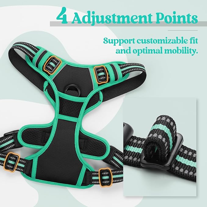 rabbitgoo Dog Harness No Pull with 2 Leash Clips, Adjustable Soft Padded, Reflective Oxford No Choke Pet Vest with Easy Control Handle for Medium Sized Dogs, Black &amp; Turquoise, M