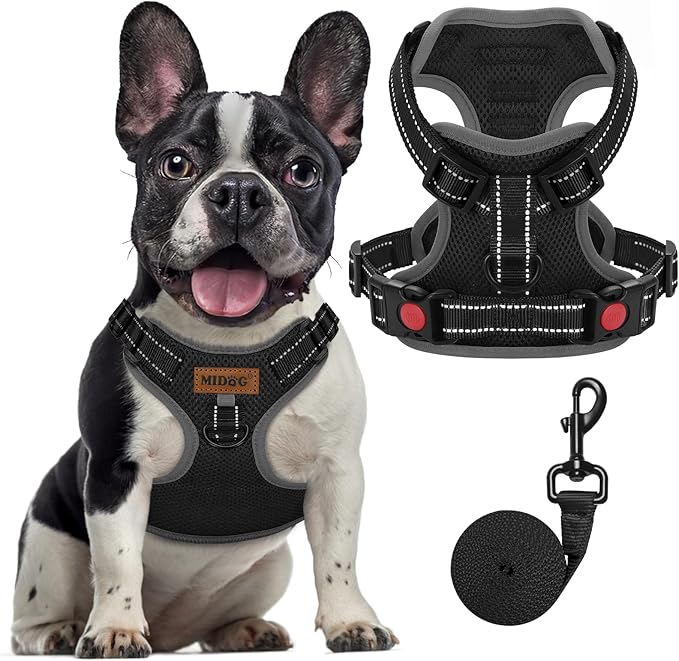 MIDOG No-Pull Dog Harness | Adjustable &amp; Reflective Pet Harness Leash Set for Small Medium Large Dogs Walking, Training| No Choke, Front Clip, Soft Padded Vest with Easy Control Handle - Black, M