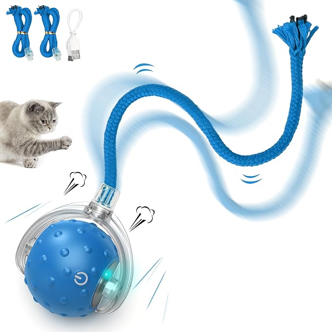 Cat Toys Ball for Indoor Cats - Interactive Automatic Cat Ball Toy | Fast Rolling &amp; Motion Activated Chirping | Hide and Seek Mouse Catching Game | Stimulates Hunting Instinct (Blue)