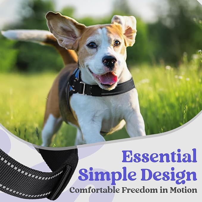 rabbitgoo Dog Harness Medium Sized, Easy On Pet Vest with One Buckle, No Pull Adjustable Service Harness with D-Ring &amp; Handle, Reflective for Safety Walking, Training, Blue, M