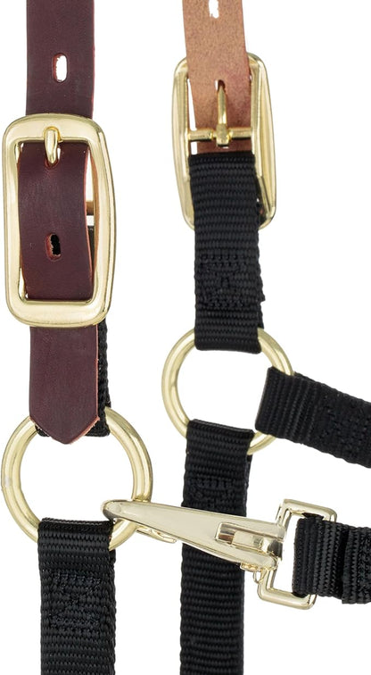 Weaver Equine Breakaway Horse Halter, Supple Leather Crown, Adjustable Chin &amp; Throat Snap Halters for Horses, Equine Tack,Pony Size, Black