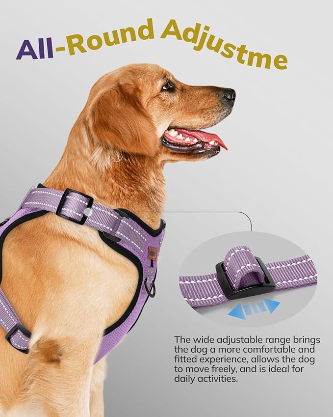 MIDOG No-Pull Dog Harness | Adjustable &amp; Reflective Pet Harness Leash Set for Small Medium Large Dogs Walking, Training| No Choke, Front Clip, Soft Padded Vest with Easy Control Handle - Purple, M