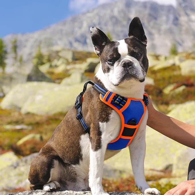 Eagloo Dog Harness for Large Dogs, No Pull Service Vest with Reflective Strips and Control Handle, Adjustable and Comfortable for Walking, No Choke Harness with 2 Metal Rings, Blue &amp; Orange, M