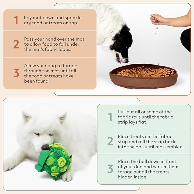 Reggie Enrichment Value Pack for Dogs with Stimulating Feeder Mat and Forager Ball to Relieve Speed Eating, Boredom, Stress | Vet-Approved &amp; Ideal for All Ages, Dog Breeds, and Sizes