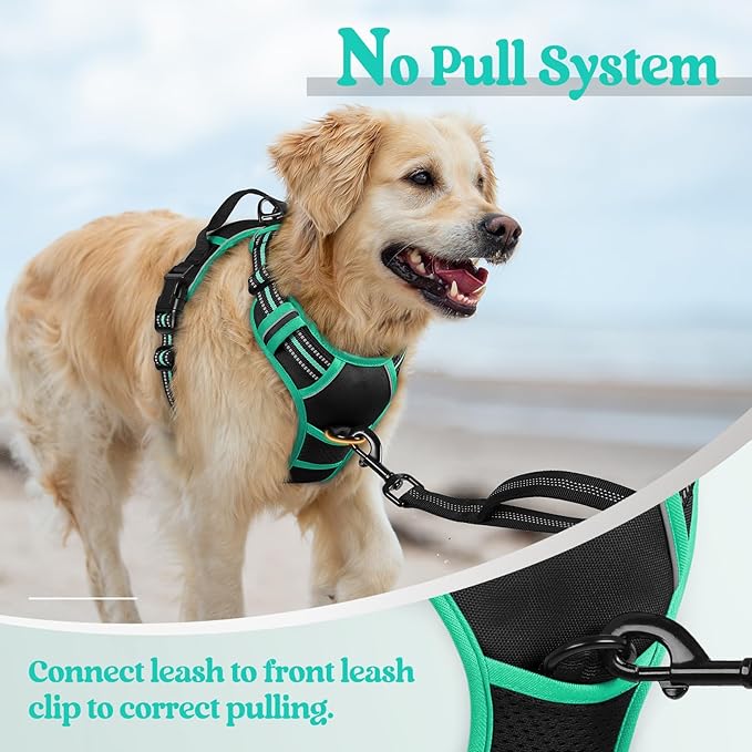 rabbitgoo Dog Harness No Pull with 2 Leash Clips, Adjustable Soft Padded, Reflective Oxford No Choke Pet Vest with Easy Control Handle for Large Dogs, Black &amp; Turquoise, L