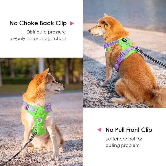 PHOEPET No Pull Dog Harness, Unique Colors Reflective Adjustable Dog Vest, with Soft Training Handle Metal Clips for Small Medium Large Dogs (Green Base &amp; Purple Straps,S)