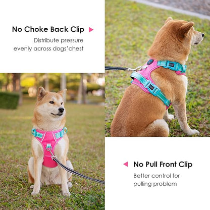 PHOEPET No Pull Dog Harness, Unique Colors Reflective Adjustable Dog Vest, with Soft Training Handle Metal Clips for Small Medium Large Dogs (Pink Base &amp; Green Straps,M)