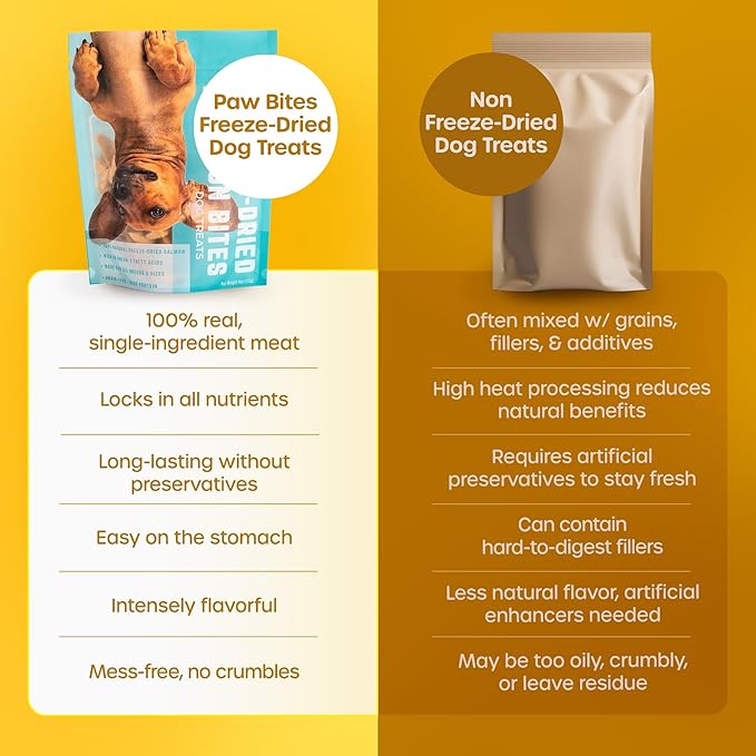 Freeze Dried Dog Treats - Wild Caught Salmon - Dog Food Dry Snacks - with Protein &amp; Omega 3s - for All Breeds &amp; Sizes - No Artificial Flavors &amp; Dyes, No Preservatives - 1 Pouch, 4 oz