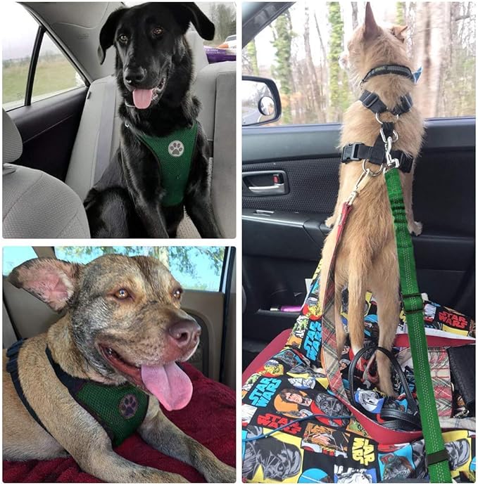 Lukovee Dog Seat Belt for Car, Adjustable Dog Car Harness for Large Medium Small Dogs, Soft Padded &amp; Breathable Mesh Dog Seatbelt with Car Vehicle Connector Strap (Green,Large)