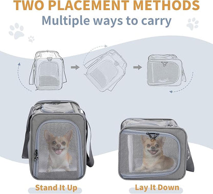 ‌Petsfit Airline Approved Pet Carrier for Small Dogs &amp; Cats, 19x9x12 TSA Approved Carrier, with Removable Dual-Sided Padding (2-Way Placement) - Fits Under Most Airplane Seats, Escape Proof (Gray)