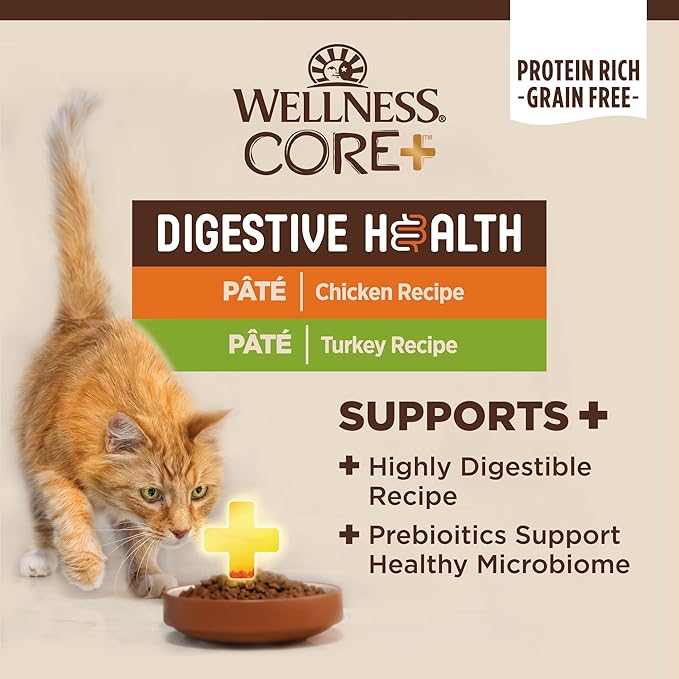 Wellness CORE+ Digestive Health Pate Adult Wet Cat Food, Natural, Protein-Rich, Grain Free, 3 Ounce, 12 Pack (Chicken &amp; Turkey Variety Pack)