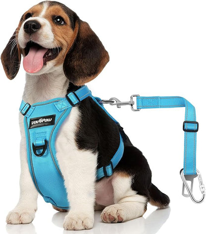 Dog Seat Belt Harness for Car, Dog Car Harness Adjustable Mesh Breathable &amp; Dogs Seatbelt Safety Tether with Elastic Bungee for Small Medium Large Pets(Blue, M)