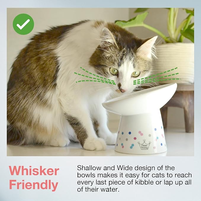 Necoichi Extra Wide Raised Cat Food Bowl, Elevated, Prevent Neck &amp; Whisker Fatigue, Dishwasher and Microwave Safe, No.1 Seller in Japan! (Colorful Dots Limited Edition, Extra Wide Tilted)