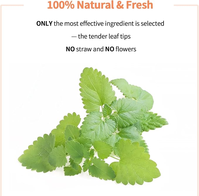 Premium Catnip for Cats &amp; Kittens – Cold-Processed, High Potency Nepetalactone, 100% Pure Leaf-Only Catnip for Toys, Scratchers, Refills, Stimulates Play &amp; Protects Furniture - 45g