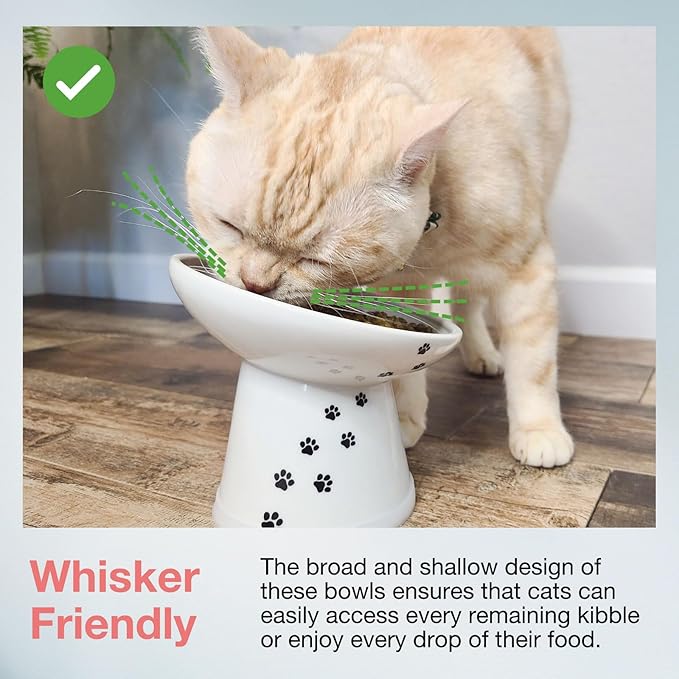 Necoichi Extra Wide Raised Cat Food Bowl, Elevated, Prevent Neck &amp; Whisker Fatigue, Dishwasher and Microwave Safe, No.1 Seller in Japan! (Cat, Extra Wide Tilted)