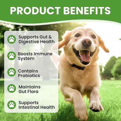 Probiotics for Dogs - Dog Probiotics with 5 Enzymes &amp; 4 Prebiotics for Itchy Skin, Pet Probiotics lab for Digestion &amp; Gut Support, Helps Diarrhea, Yeast Infection, Allergies &amp; Immune System -180 Chews