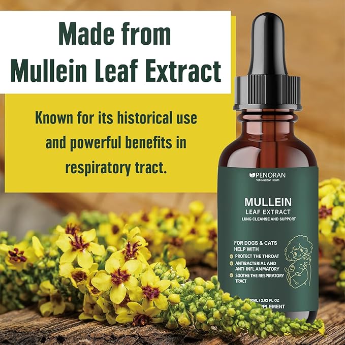 Pet Mullein Leaf Extract Drops for Dogs &amp; Cats Hoarseness, Cough, Easy Breathing, Lung Cleanse and Support, Better Lungs, Soothes Throat Discomfort - ﻿100% Natural and Efficient ﻿ ﻿