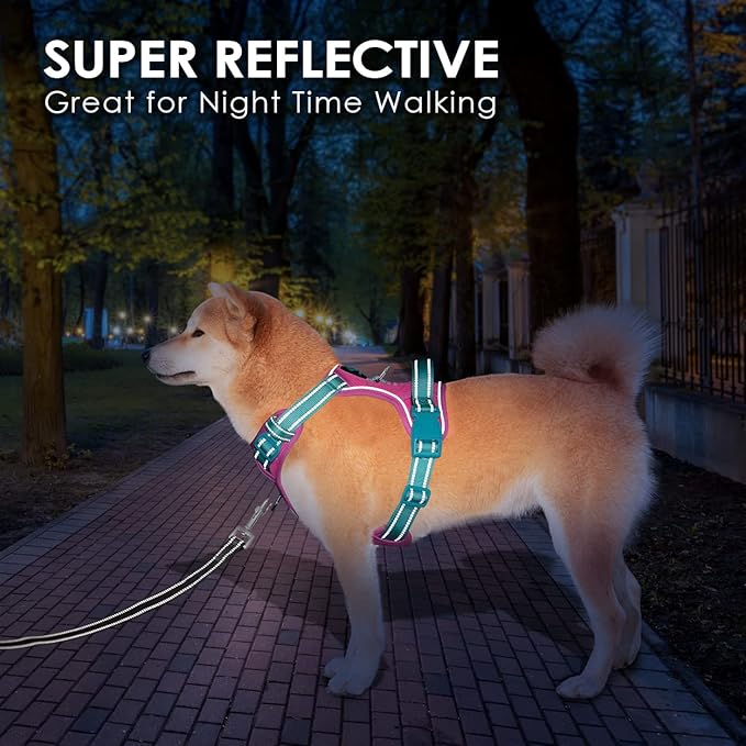 PHOEPET No Pull Dog Harness, Unique Colors Reflective Adjustable Dog Vest, with Soft Training Handle Metal Clips for Small Medium Large Dogs (Purple Base &amp; Green Straps,XS)