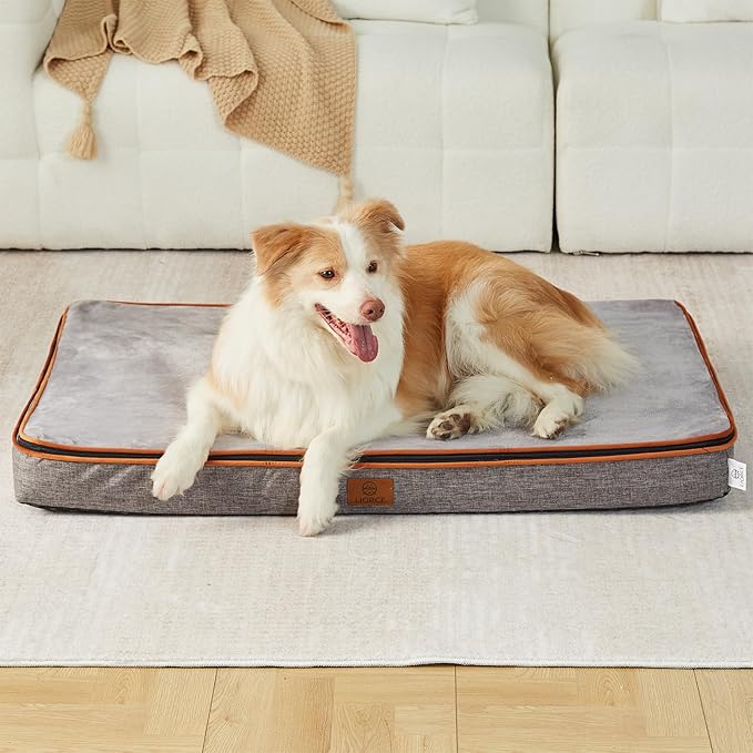 Memory Foam XL Dog Bed - 4” Thick Orthopedic Beds for Extra Large Dogs - Waterproof Dog Bed with Removable Washable Cover &amp; Wrap-Around Zipper - Ultimate Comfort and Easy Maintenance