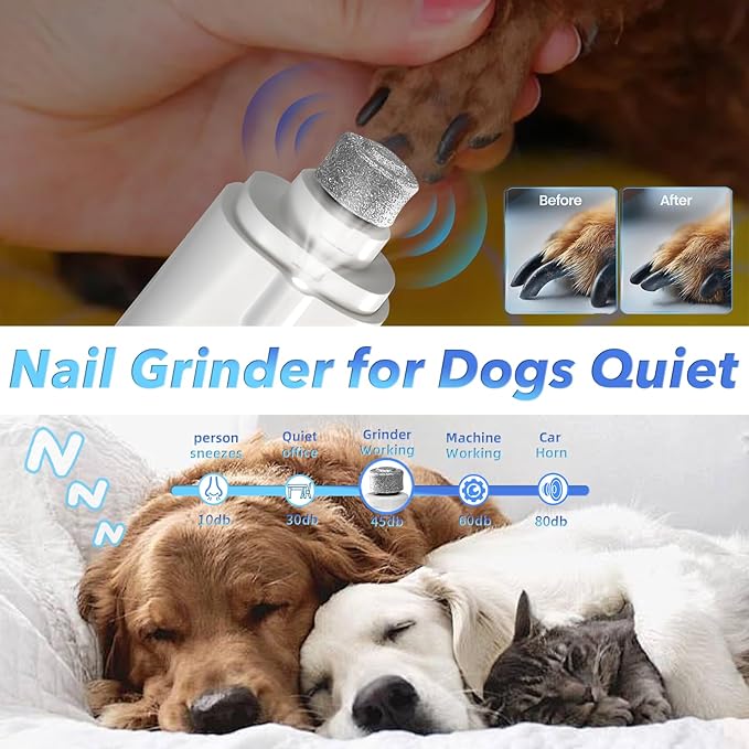 2 in 1 Dog Nail Clippers and Grinder with Lights &amp; Cat Nail Clipper for Large Medium Small Dogs Cats Nail Trimmers USB Rechargeable with 2 LED Lights Dog Claw Care for Non-Black Nails