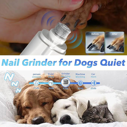 2 in 1 Dog Nail Clippers and Grinder with Lights &amp; Cat Nail Clipper for Large Medium Small Dogs Cats Nail Trimmers USB Rechargeable with 2 LED Lights Dog Claw Care for Non-Black Nails