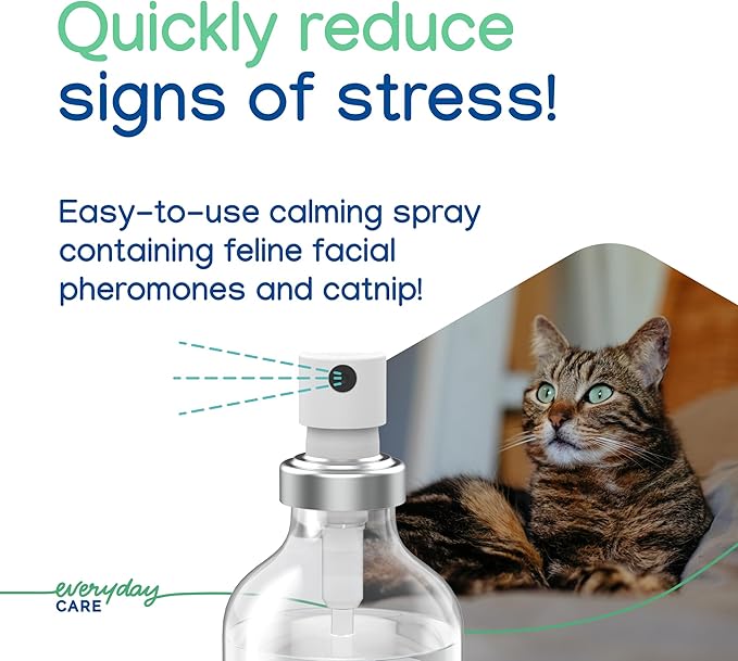 Virbac Zenifel Cat Spray for Managing Stress-Related Behaviors in Kittens &amp; Cats - Quick-Acting - Ideal for Unexpected Stressful Situations - 1 Bottle