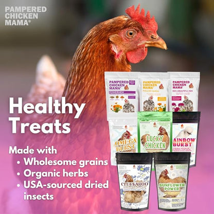 Pampered Chicken Mama Chicken Treat for Hens 8 Pounds Sampler Bundle: 8 Different Treats in One Box! - Grubs, Dried Mealworms, Cracked Corn, Oyster Shell, &amp; Duck Feed